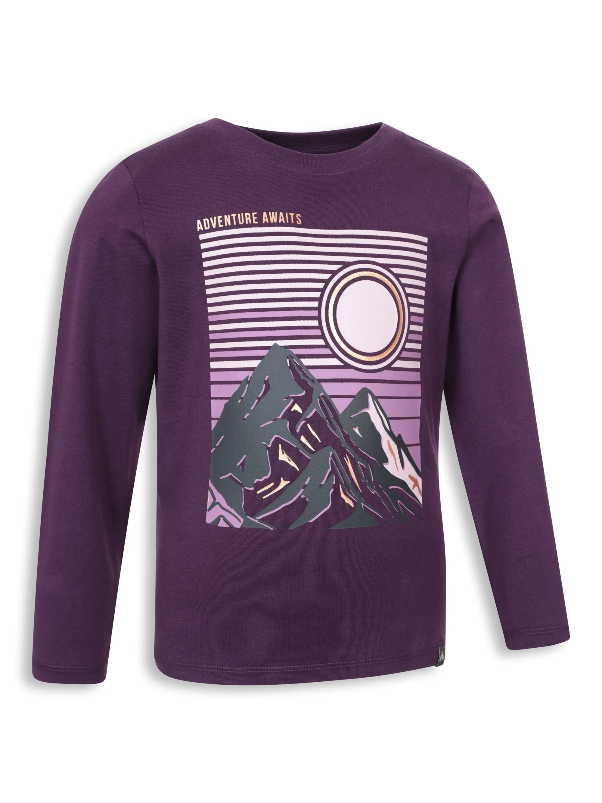 EMS Gold Foil Mountain Kids Printed Tee - Image 2